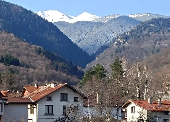 релакс-рaдуил Raduil